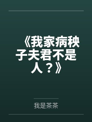 闻时简介封面
